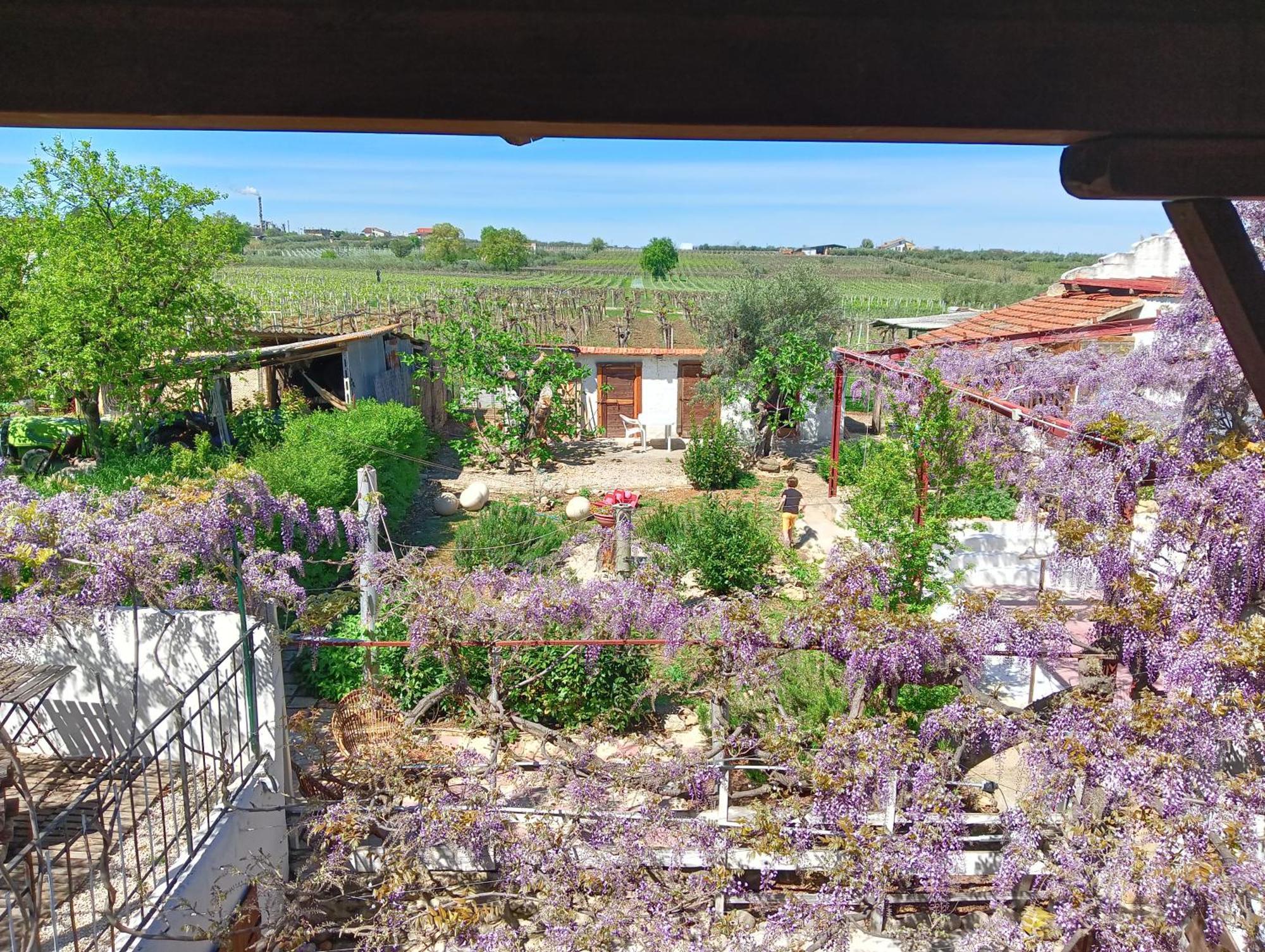 B&B Il Secolo Breve Ortona Exteriér fotografie